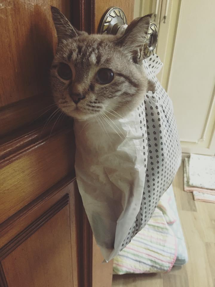 블로그 이미지