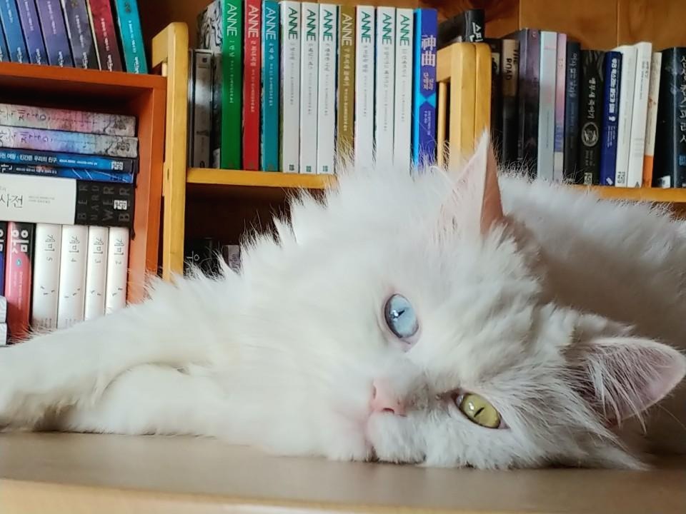 블로그 이미지