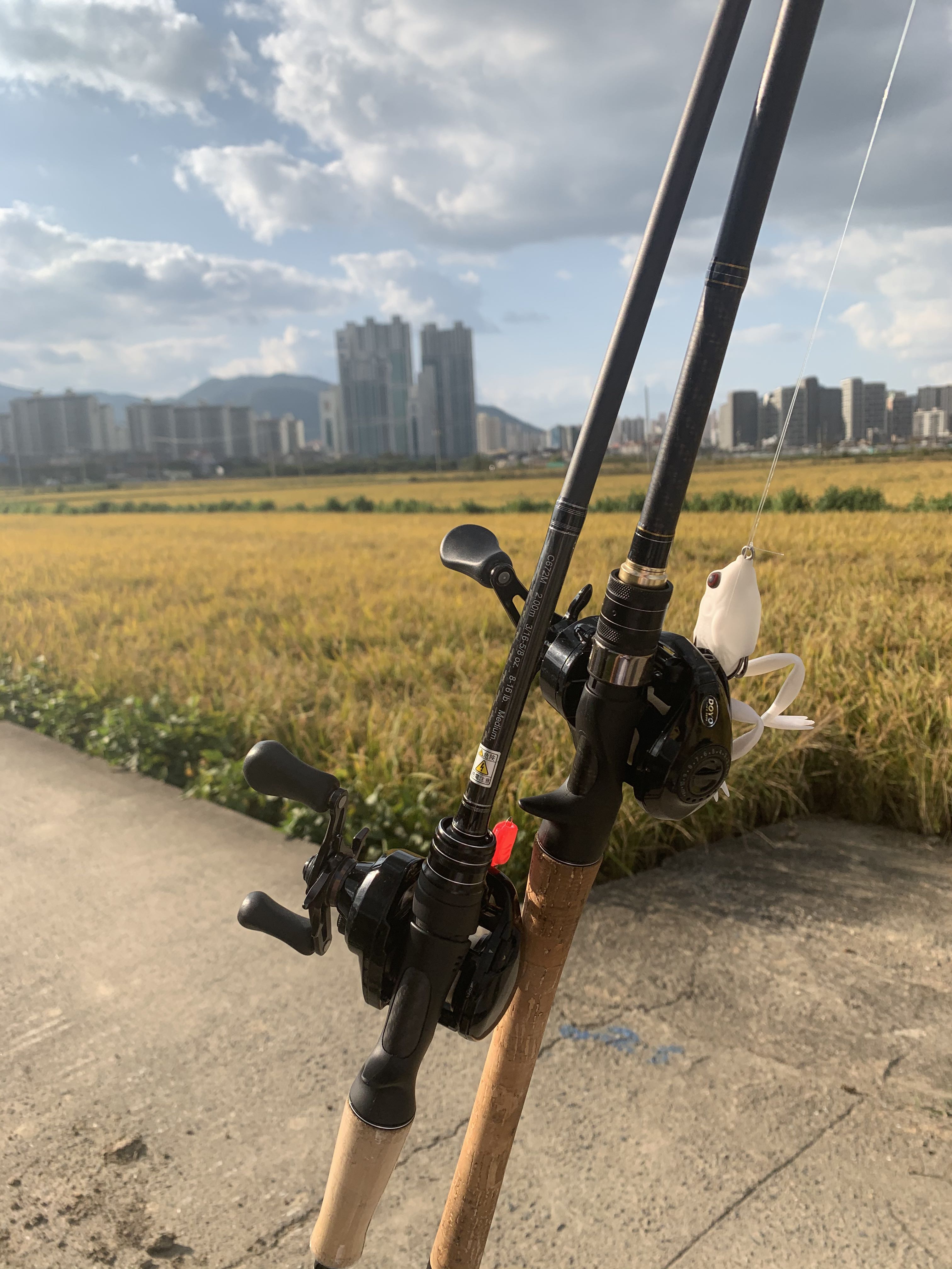 프로필사진