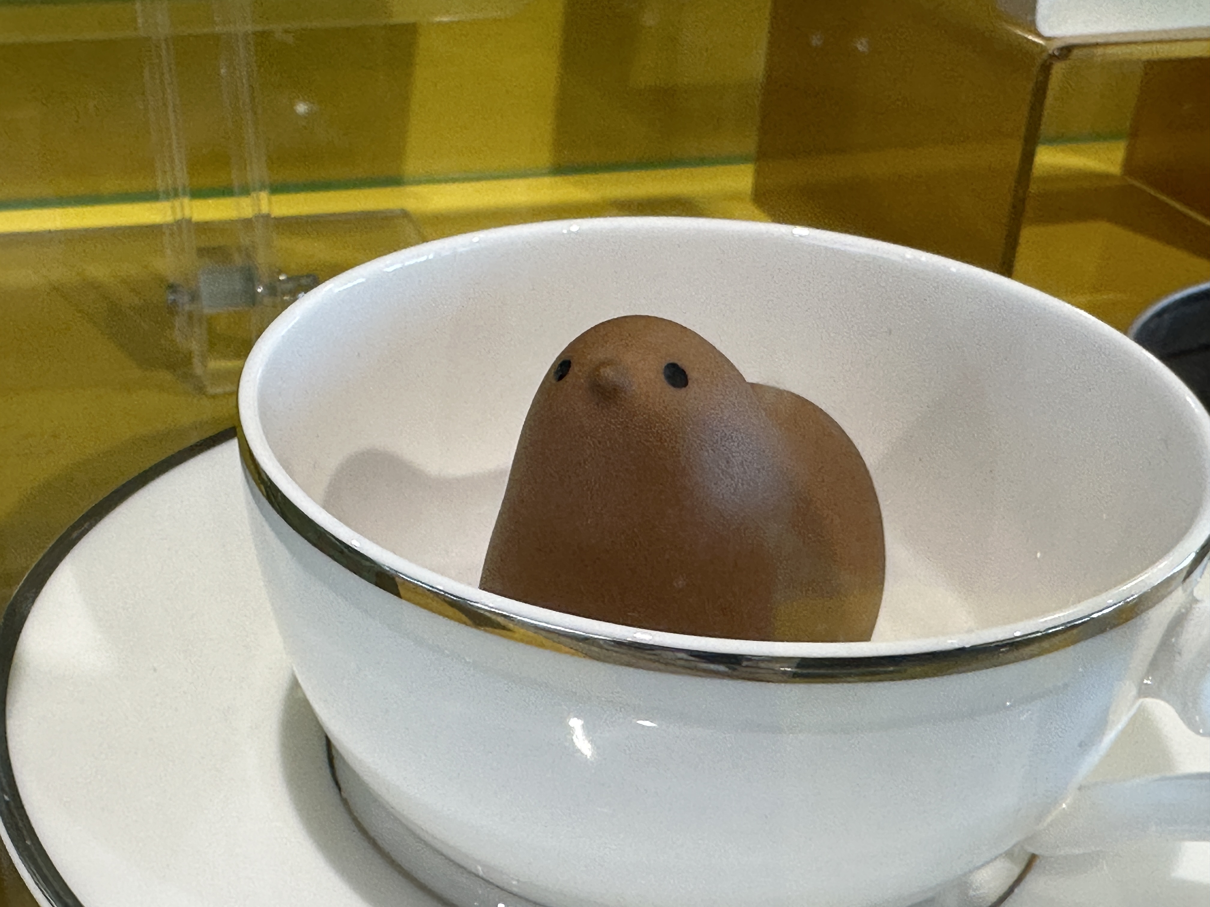프로필사진