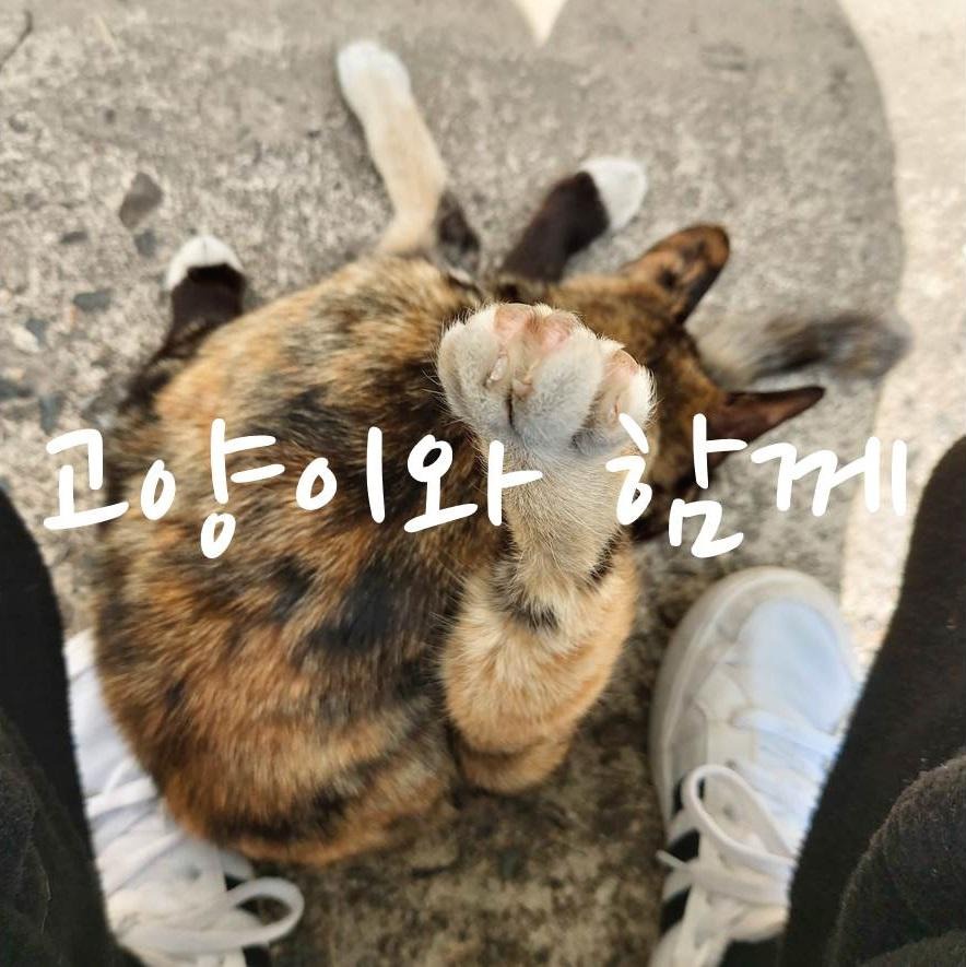 프로필사진