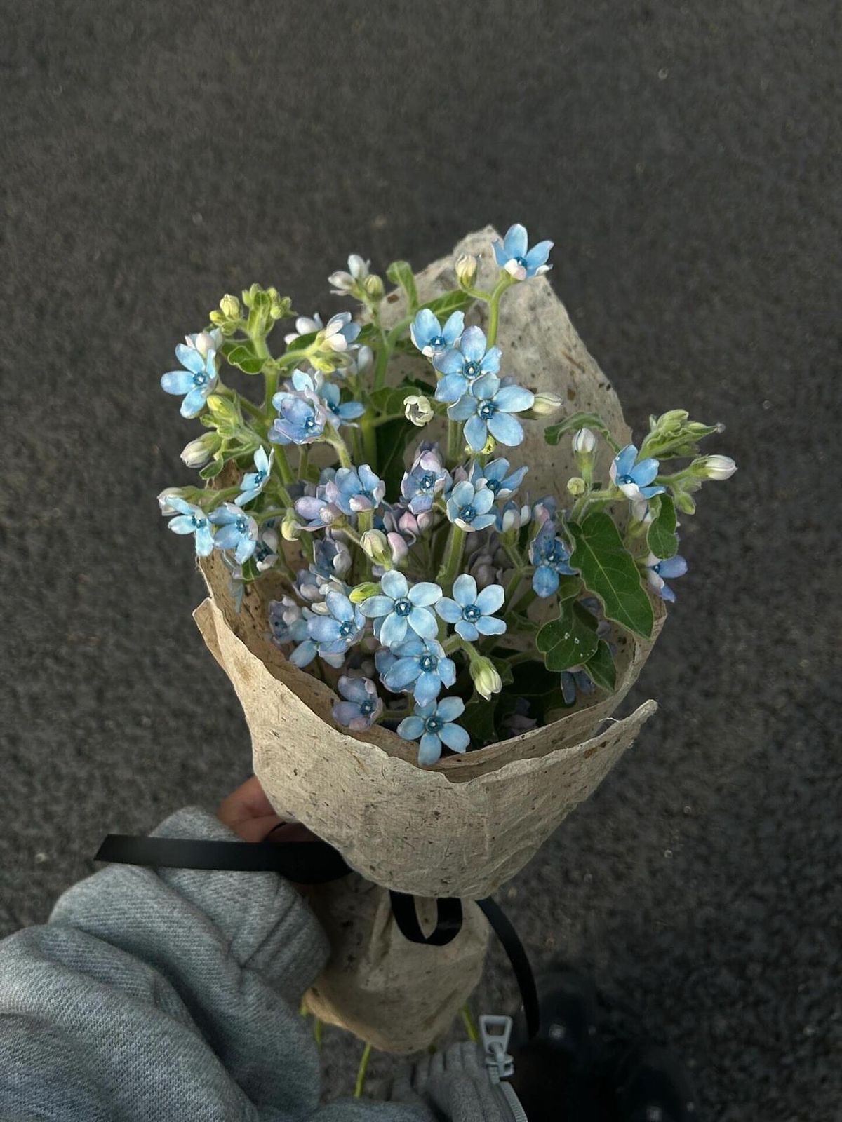 프로필사진