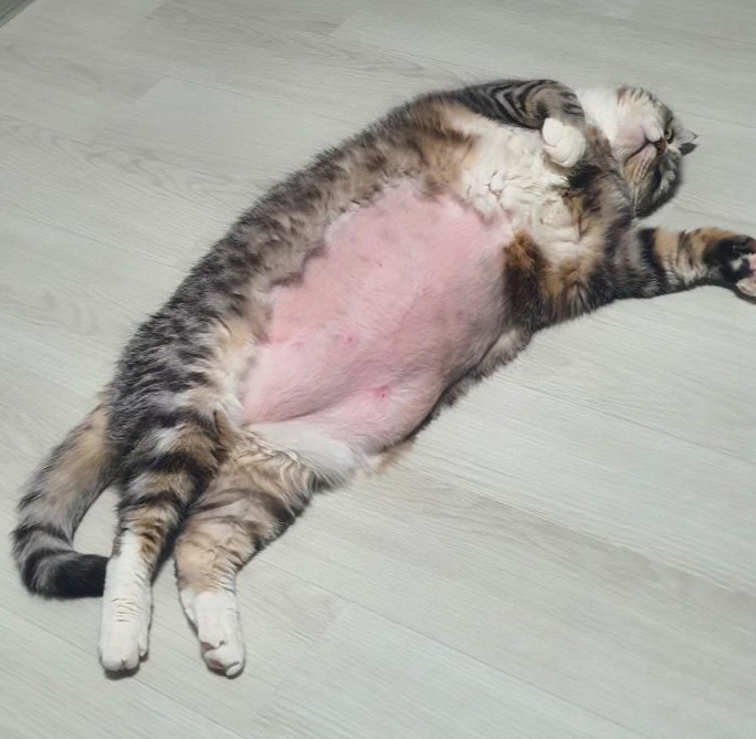 블로그 이미지