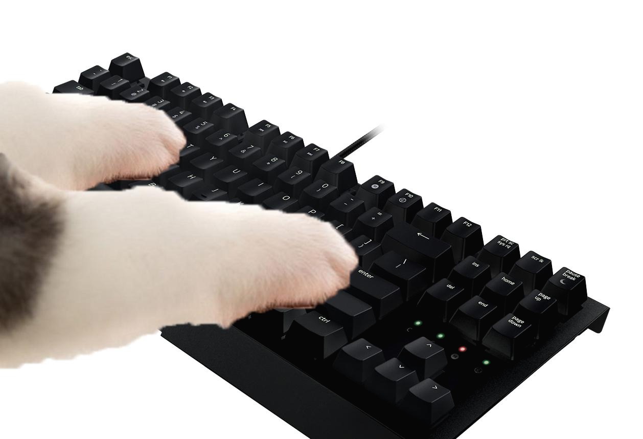 프로필사진