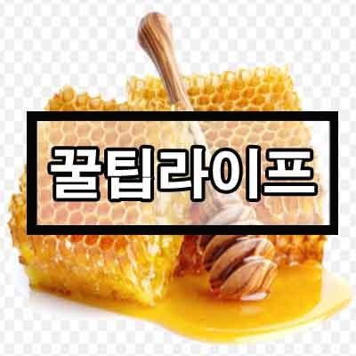 블로그 이미지