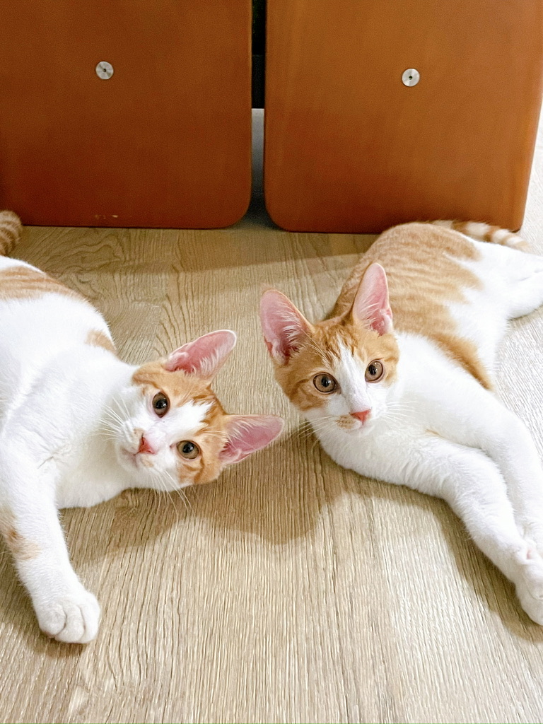프로필사진