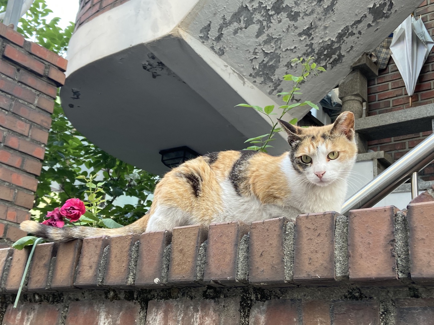 블로그 이미지