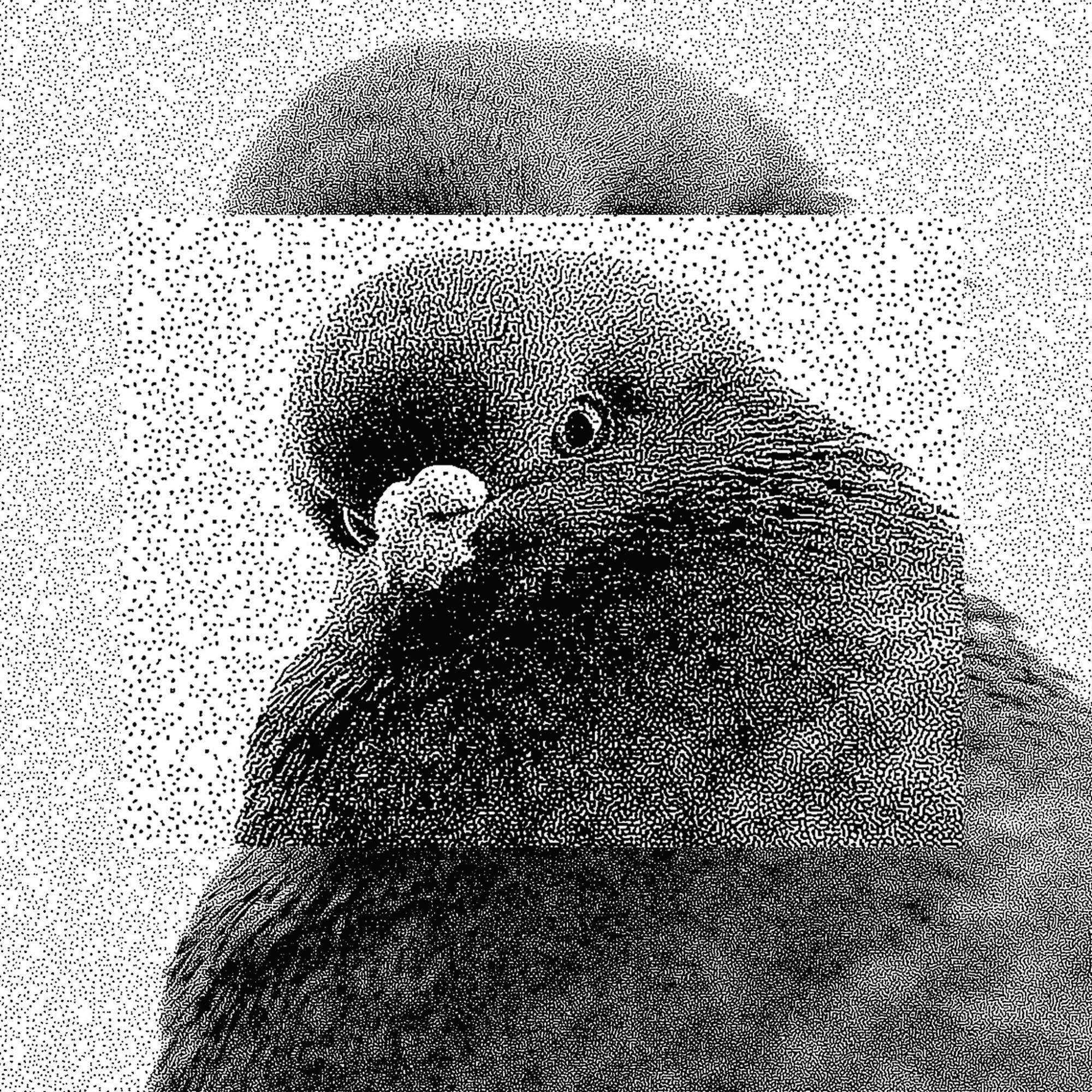 프로필사진