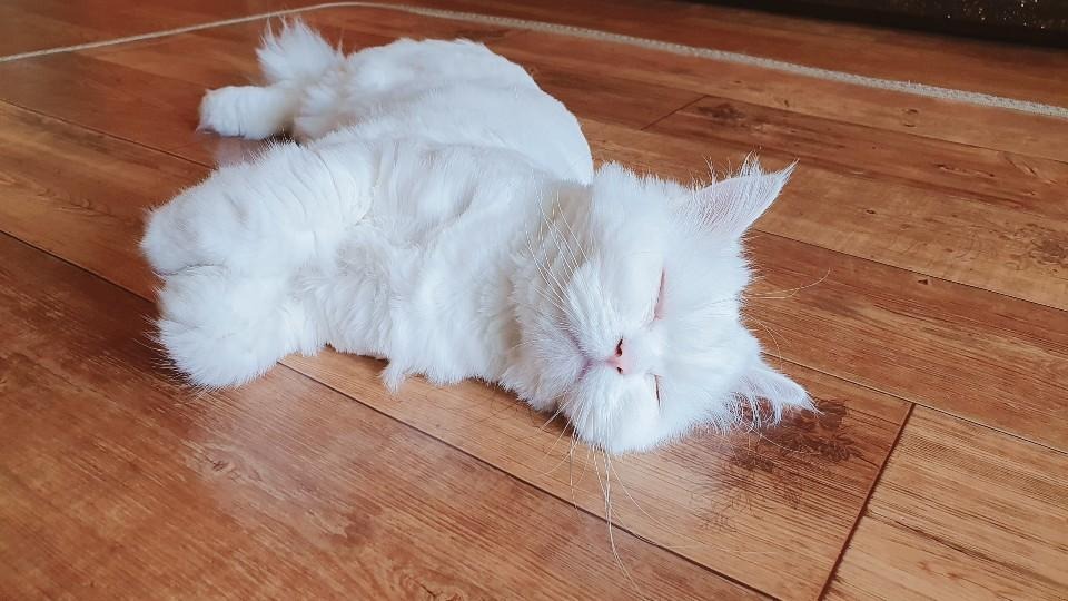 프로필사진