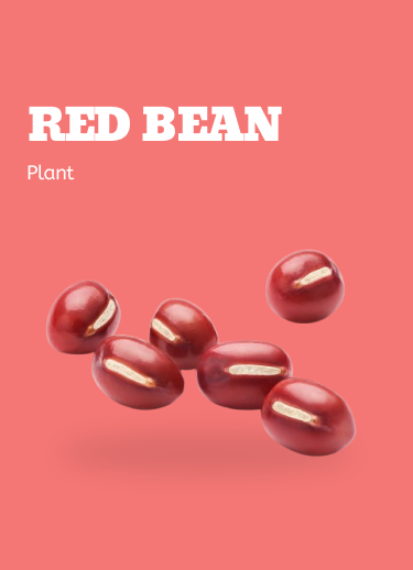 RED BEAN