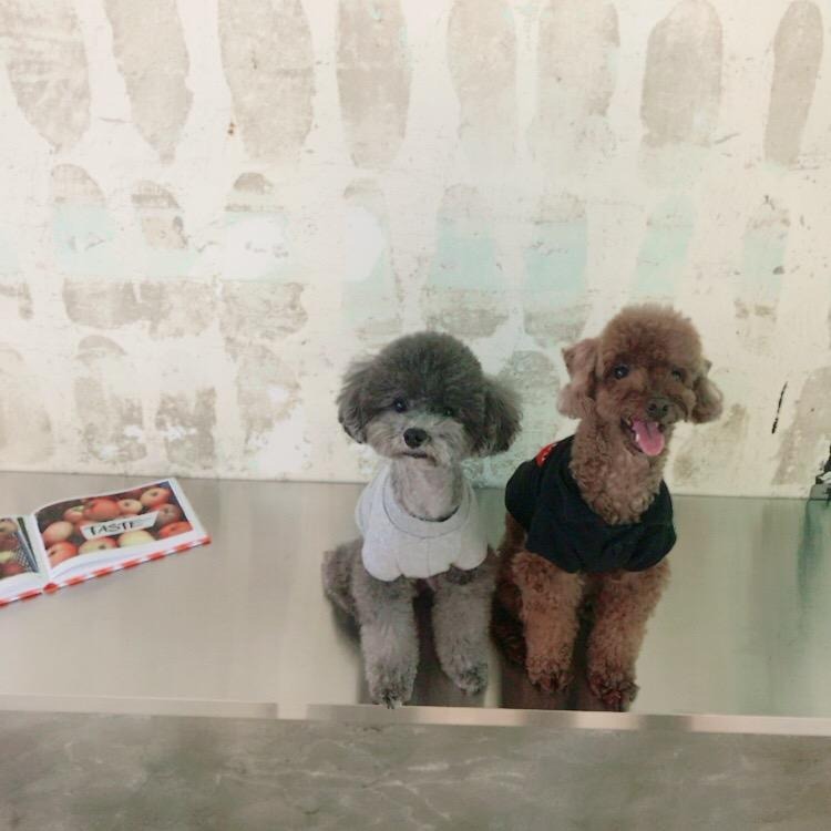 블로그 이미지