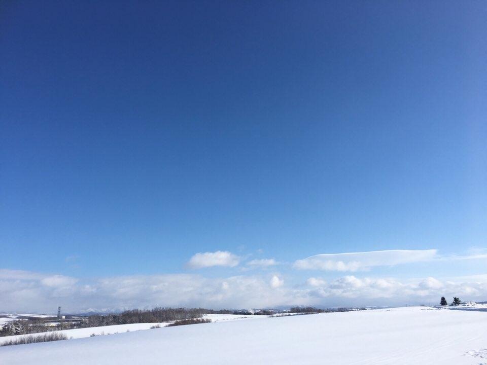 식