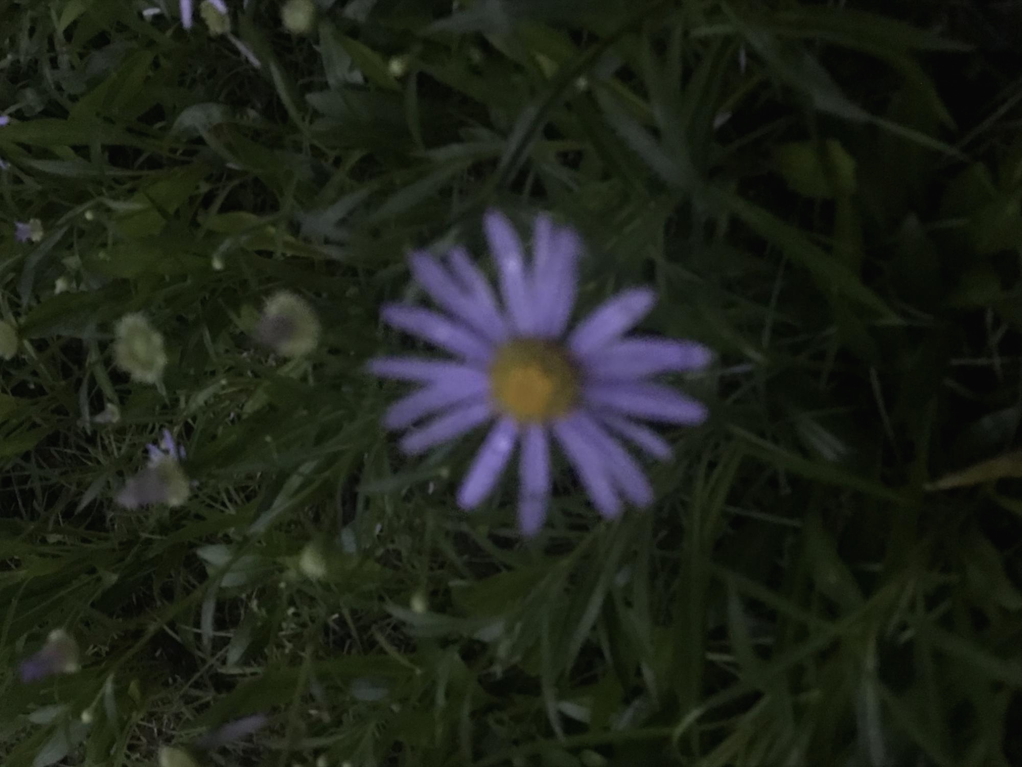프로필사진