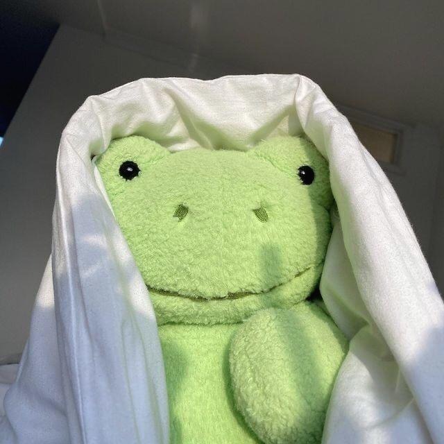 프로필사진