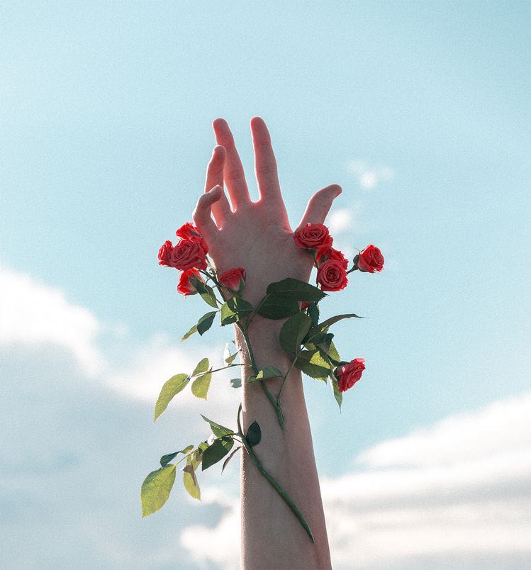 프로필사진