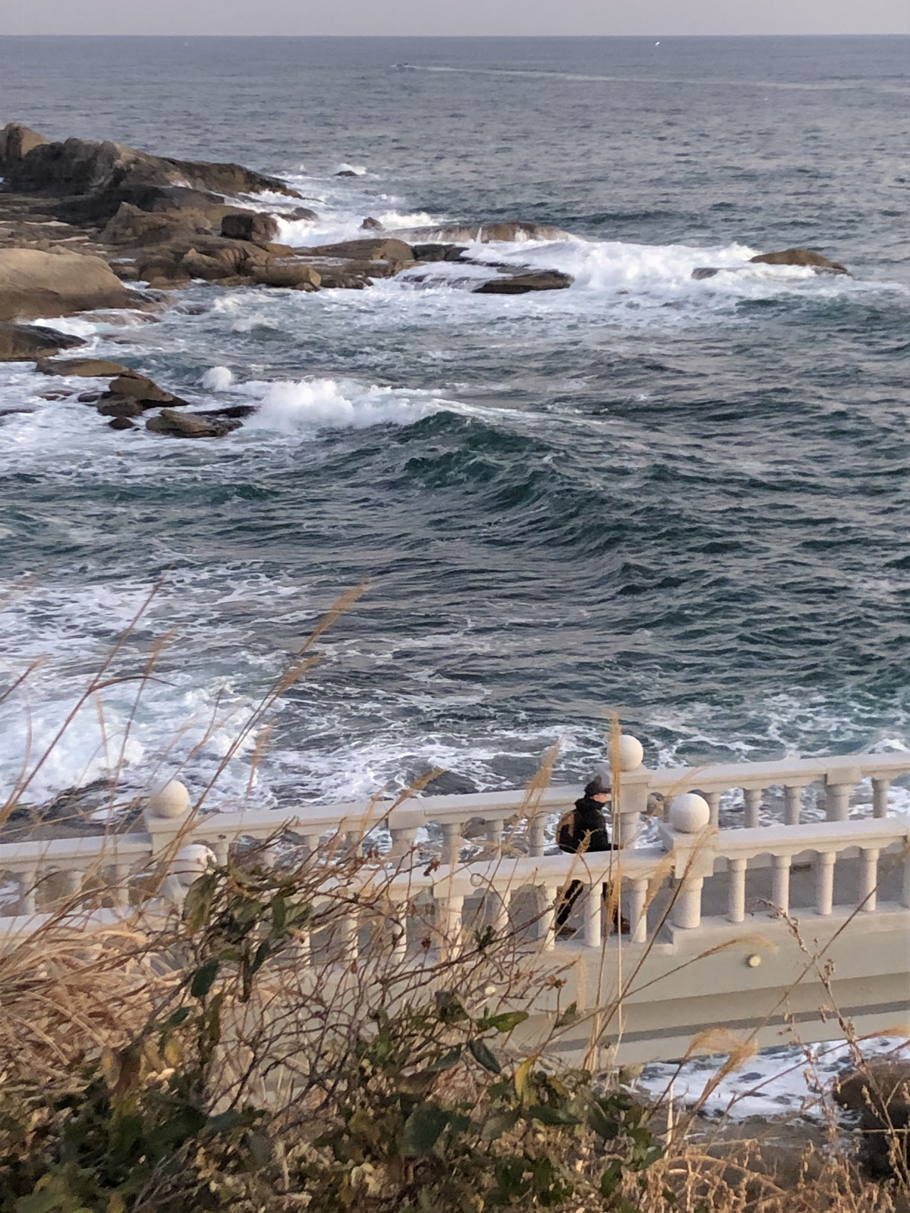 프로필사진