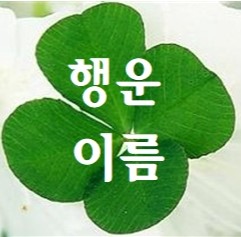 프로필사진