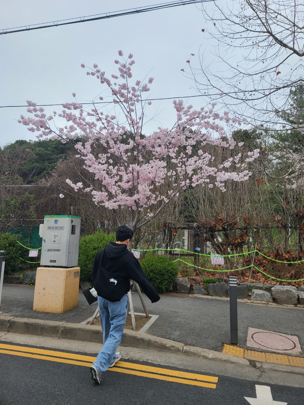 블로그 이미지