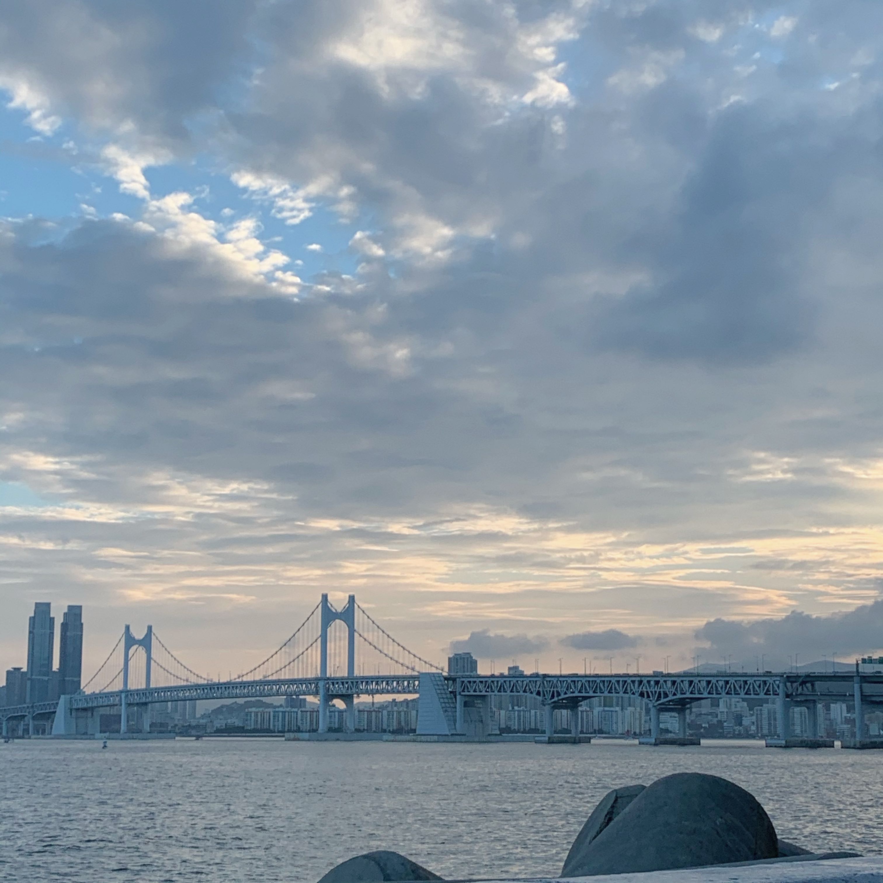 프로필사진