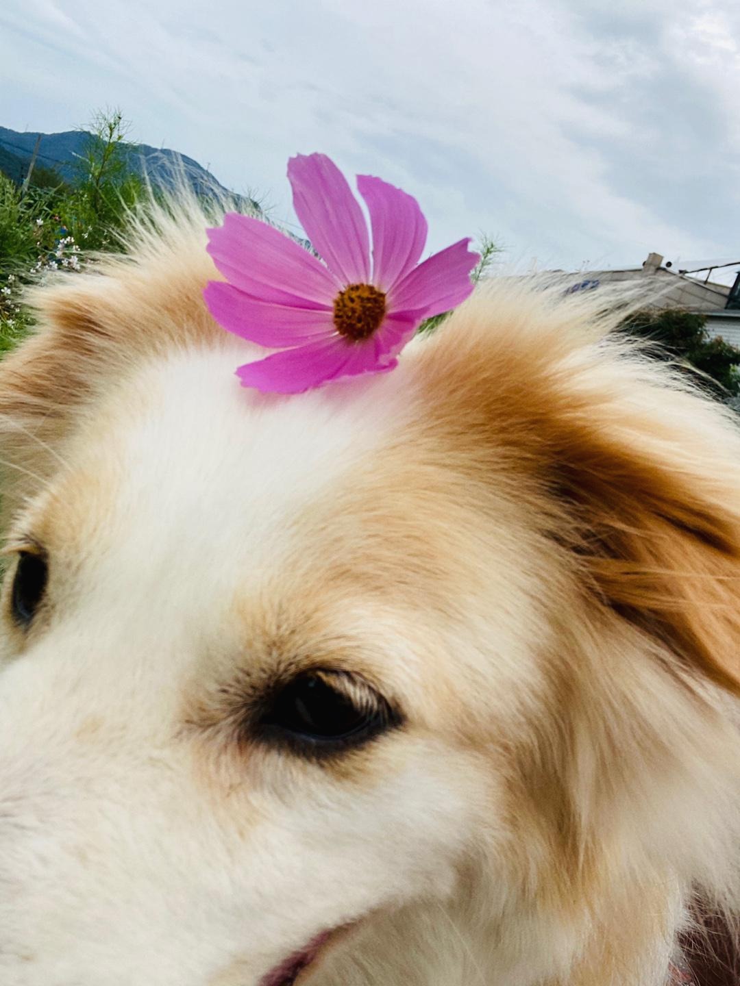 프로필사진