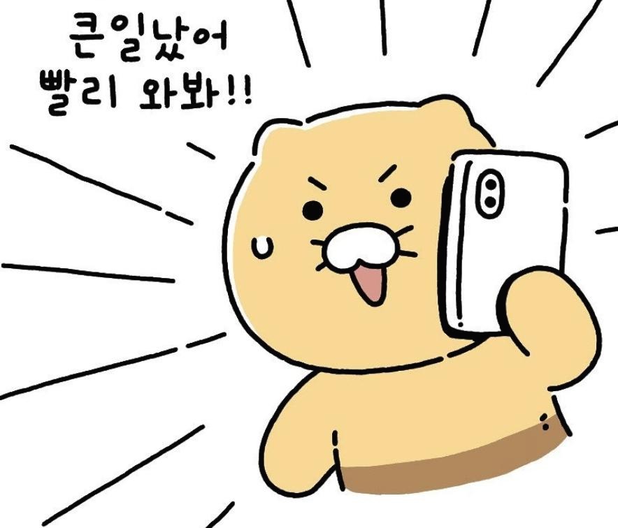프로필사진