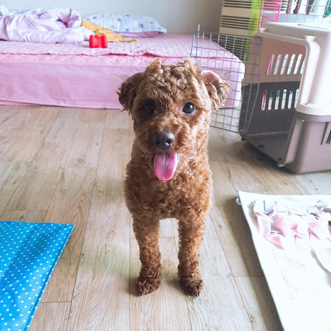 프로필사진