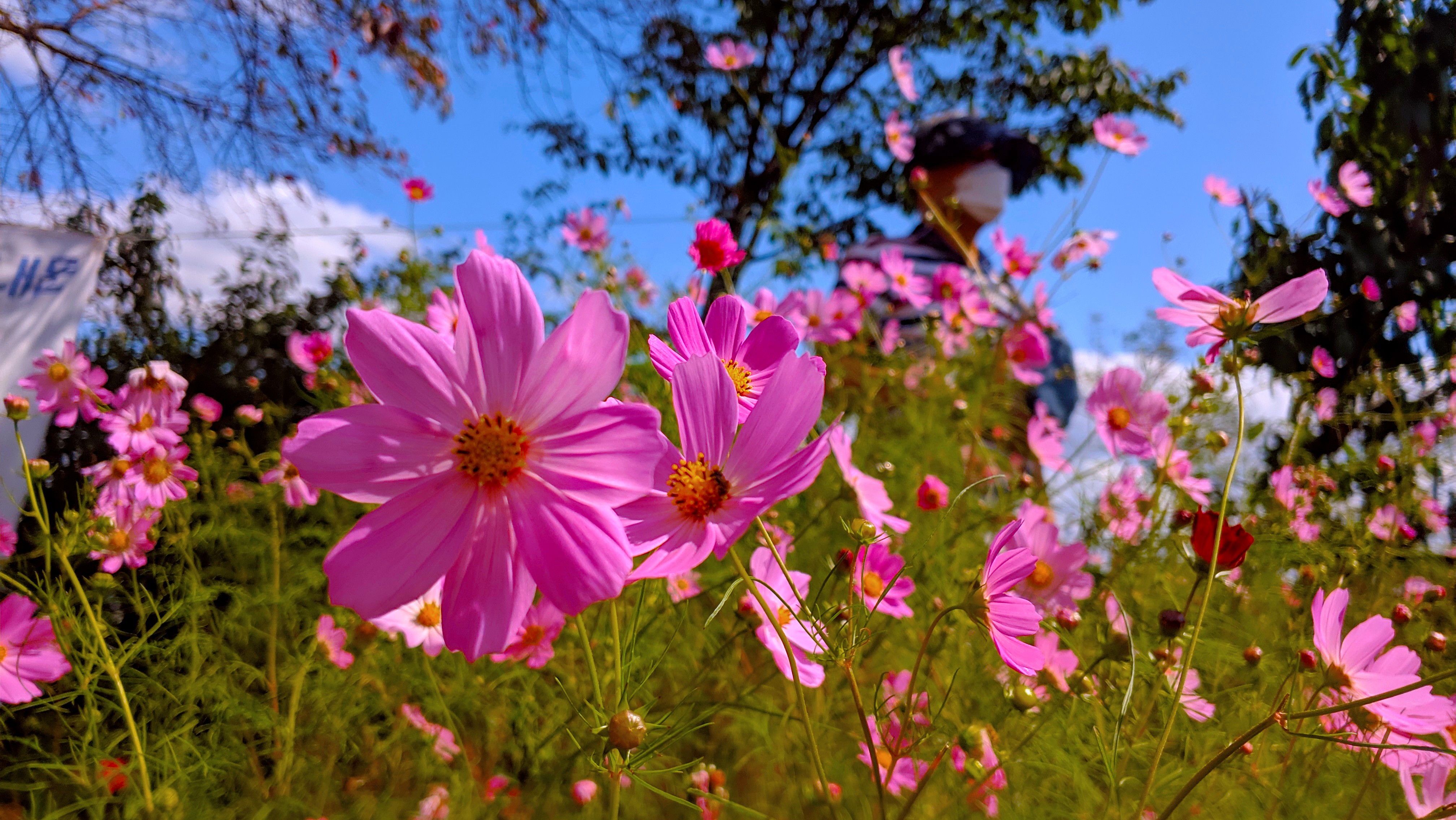 프로필 사진