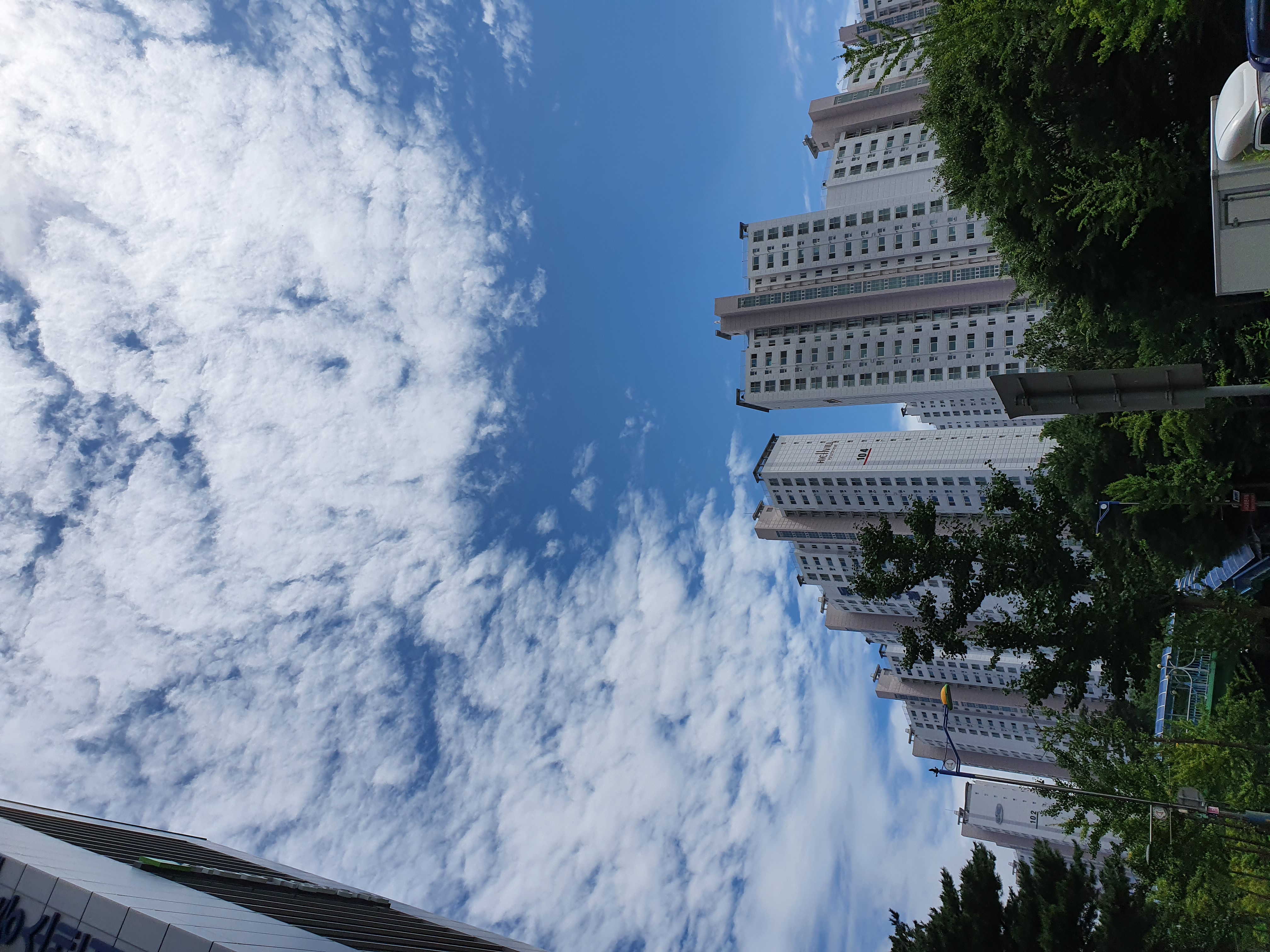 프로필사진