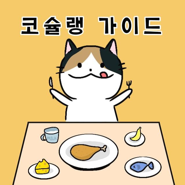 프로필사진