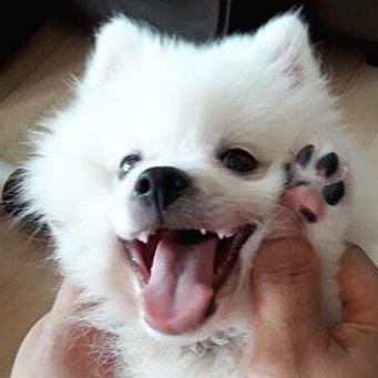 프로필사진