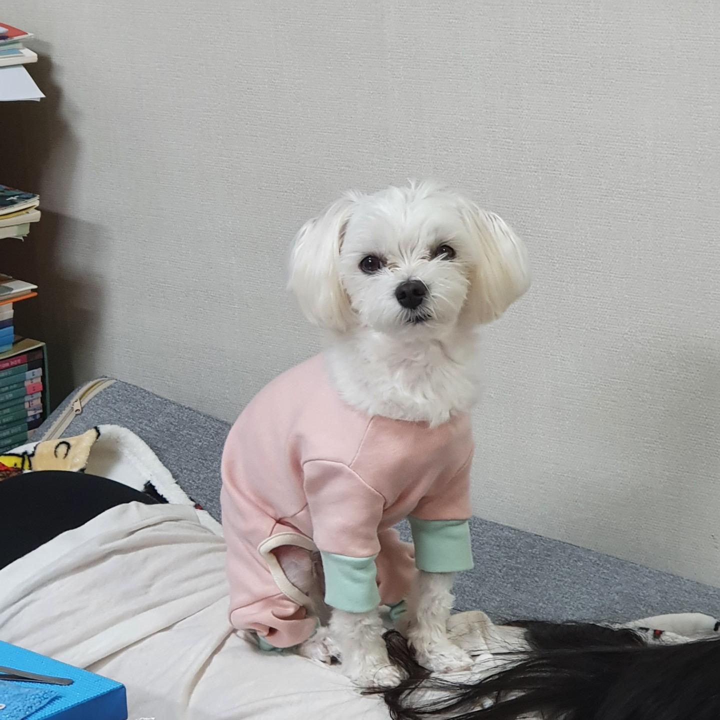 프로필사진