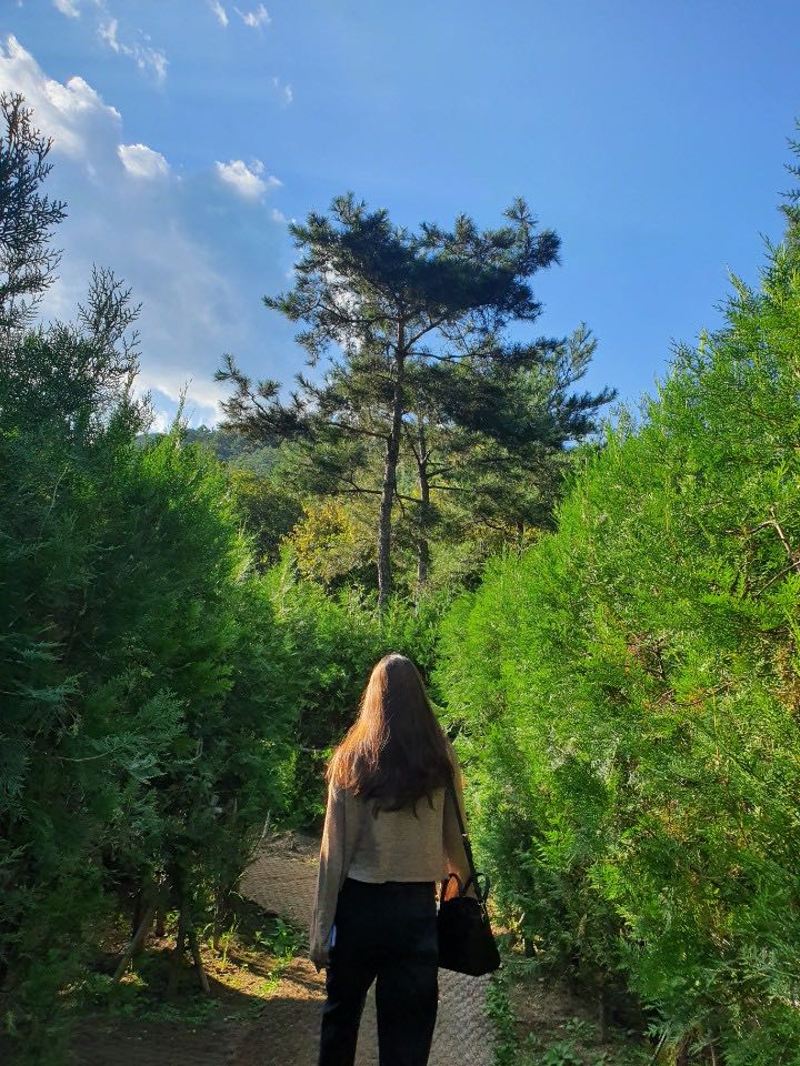 프로필사진