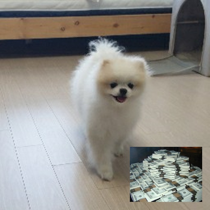 프로필사진