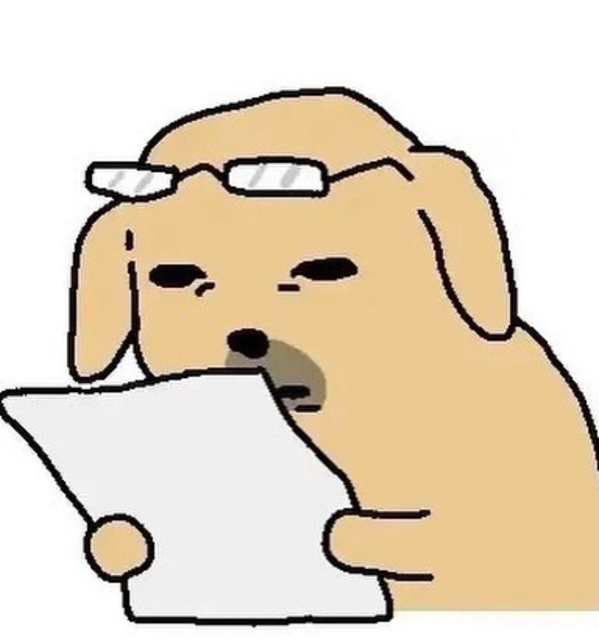 프로필사진