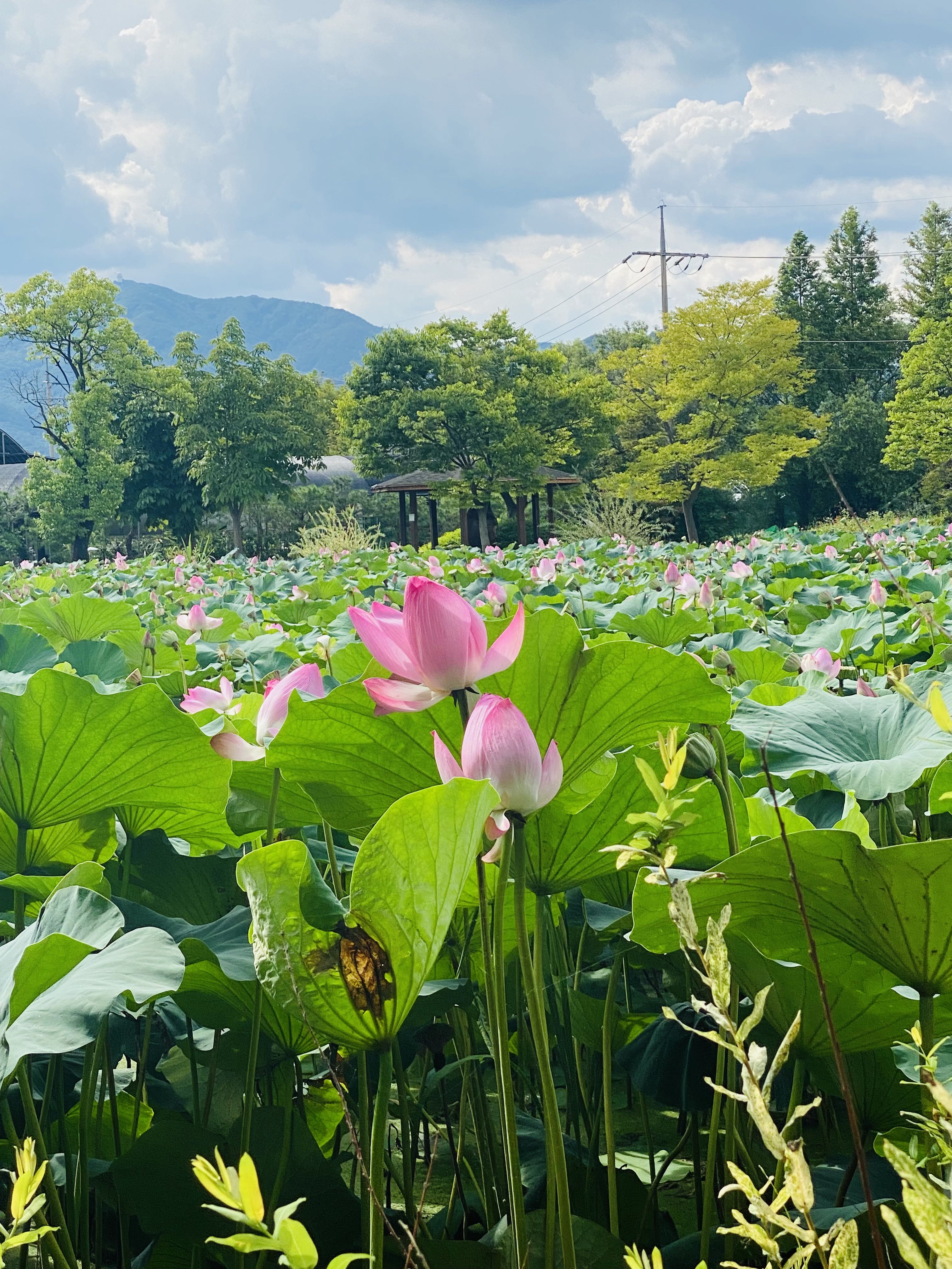 프로필사진