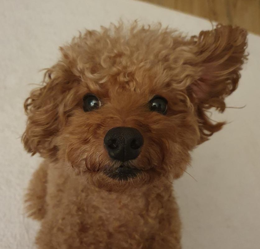 프로필사진