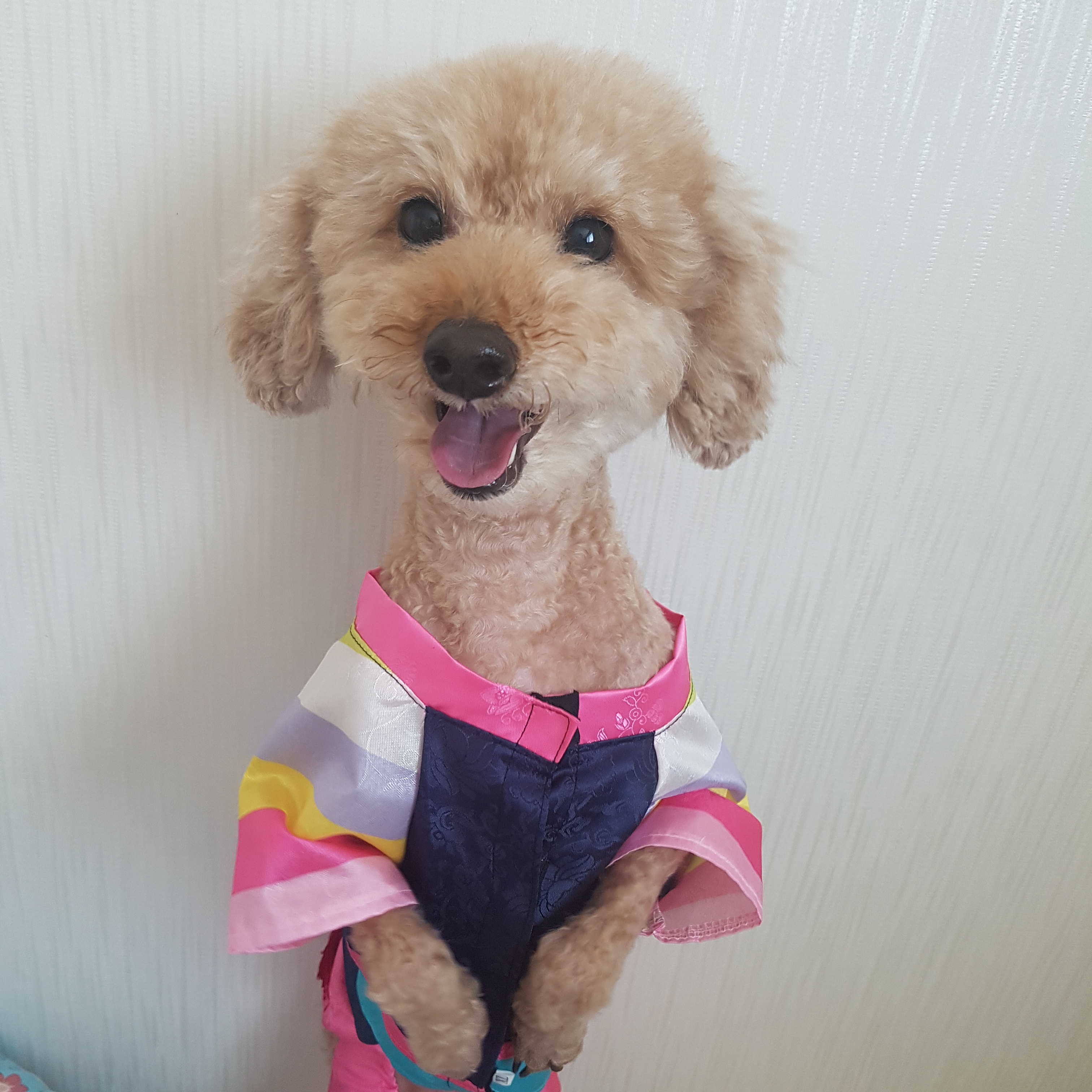 프로필사진