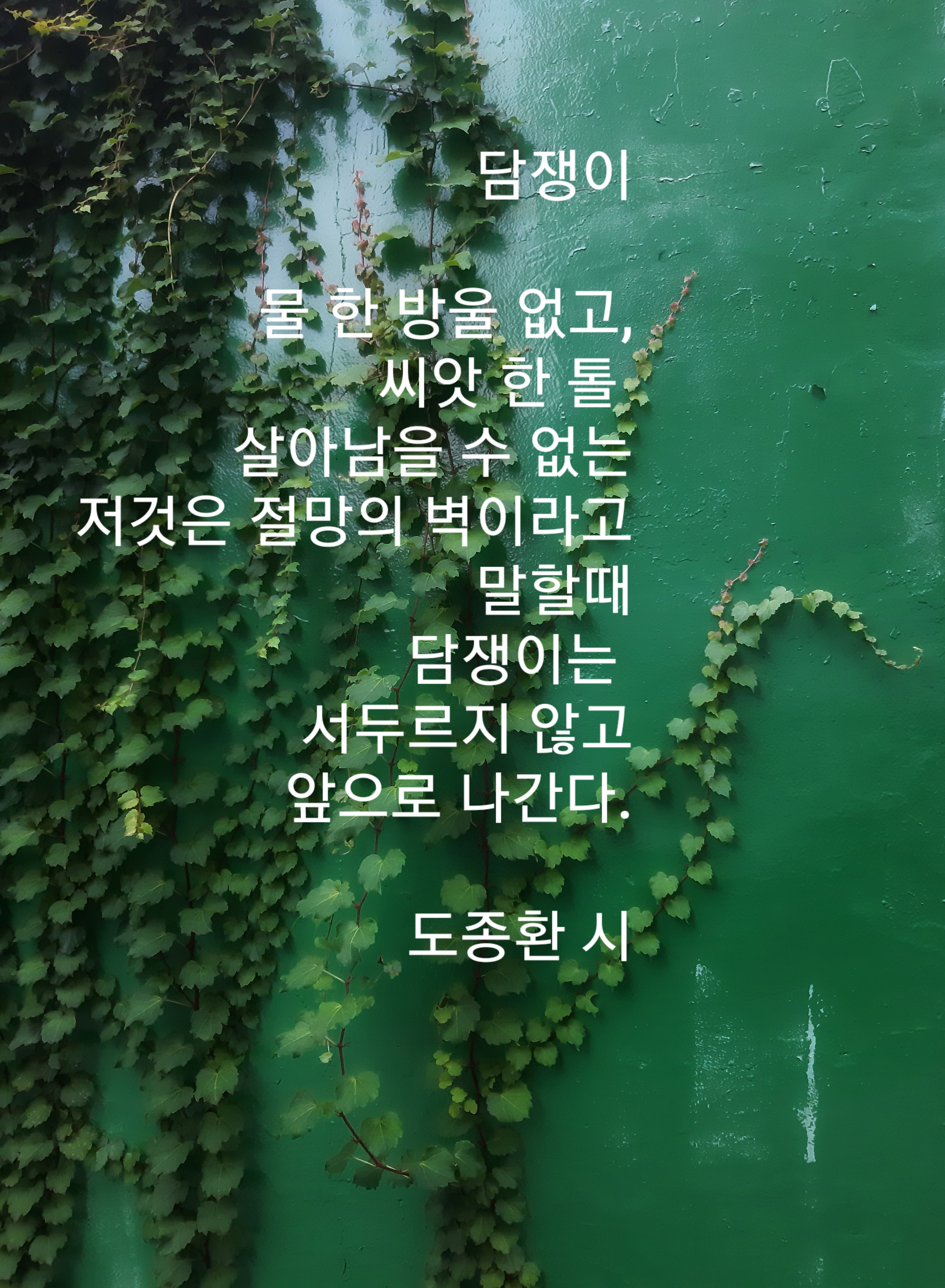 블로그 이미지