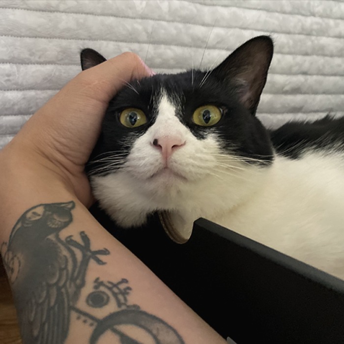 프로필사진