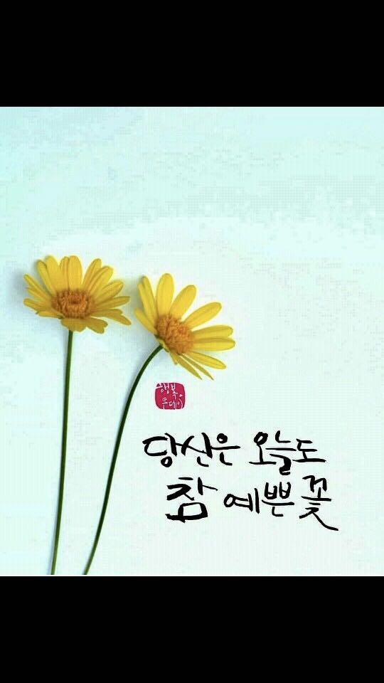 프로필사진