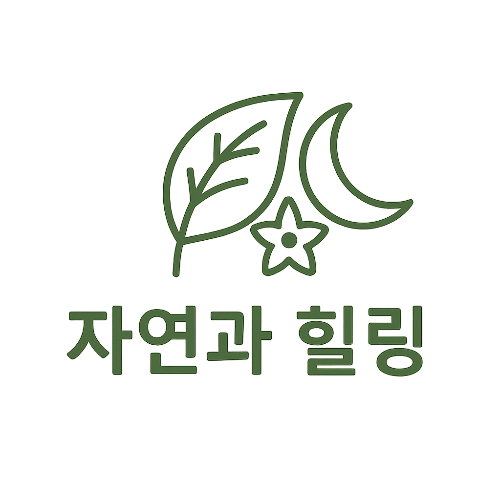 블로그 이미지