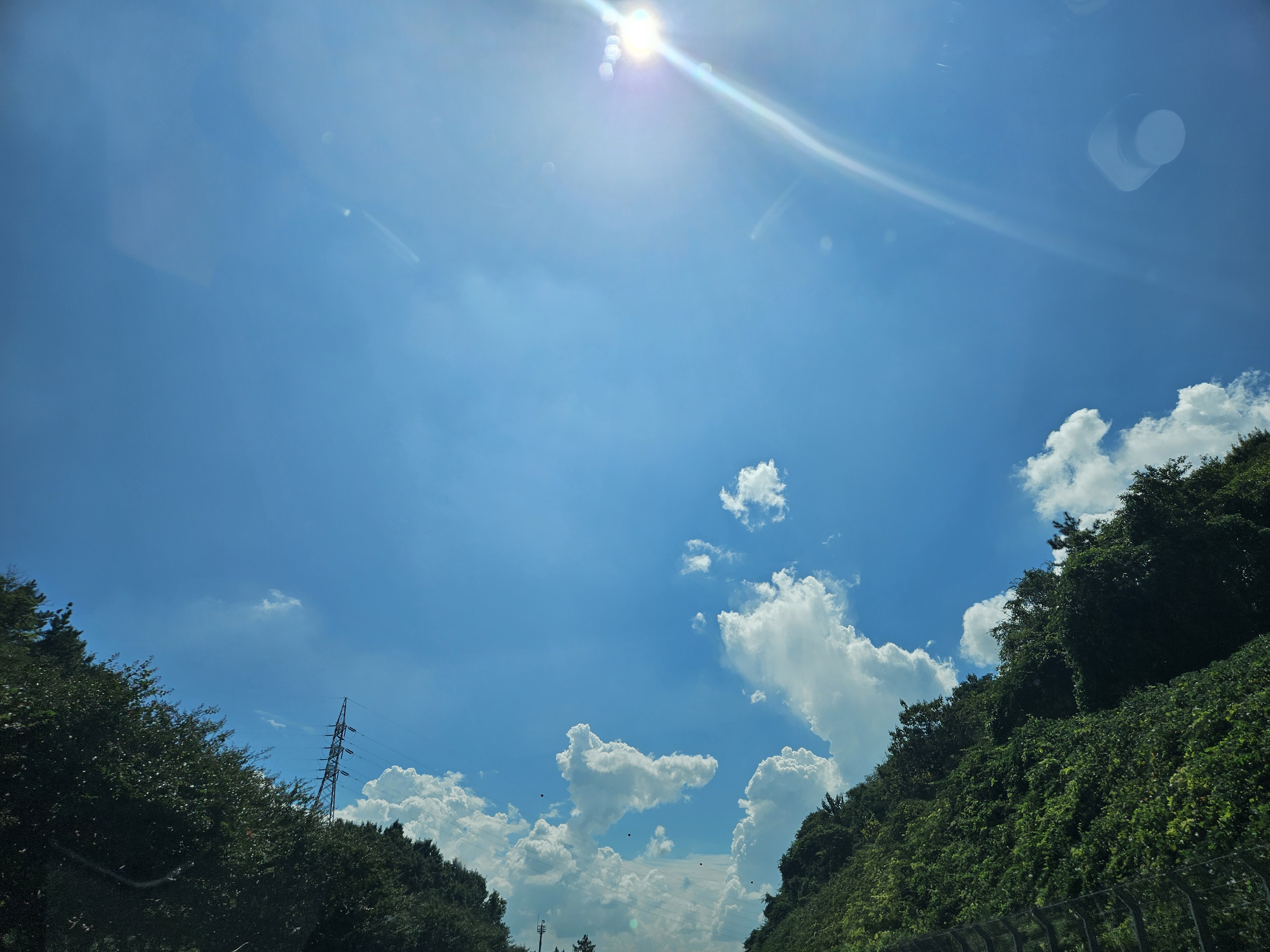 프로필사진