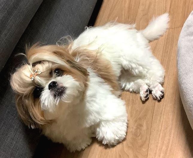 블로그 이미지