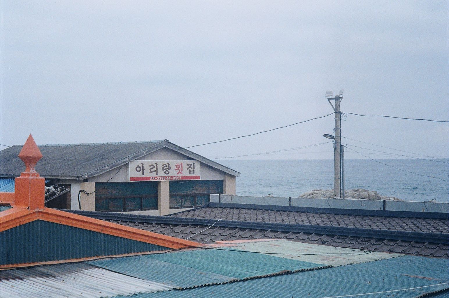 프로필사진