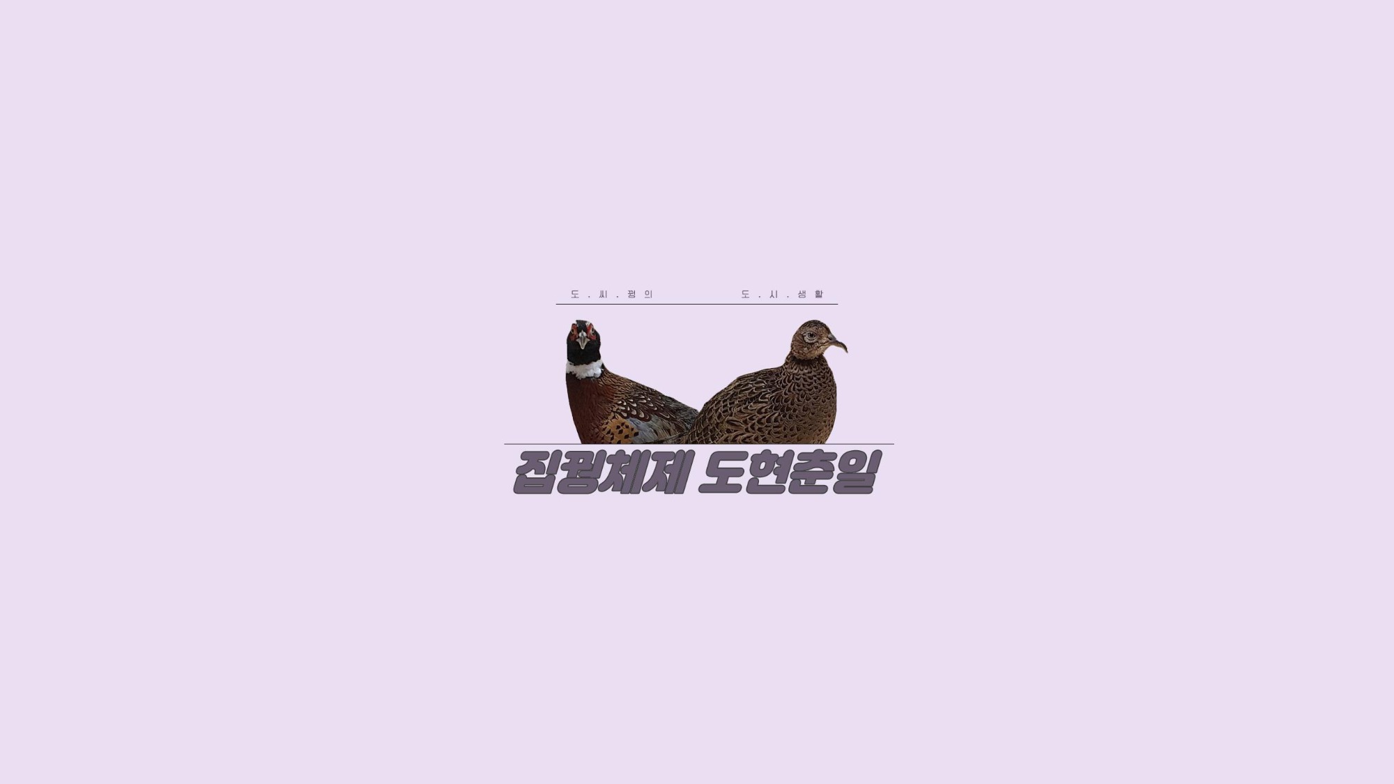 Tistory profile picture for @pheasants