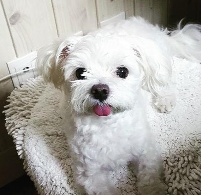 프로필사진