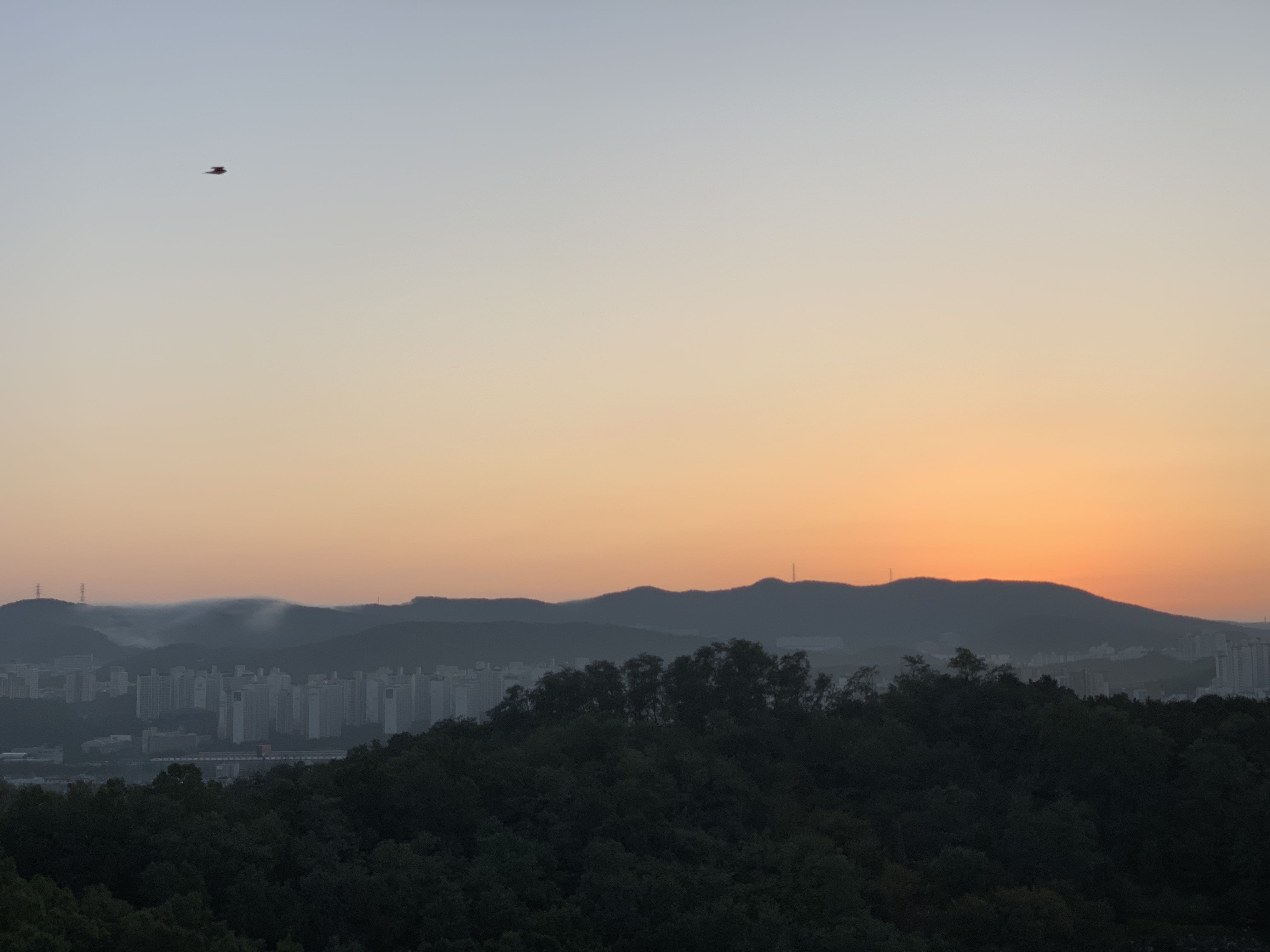 프로필사진