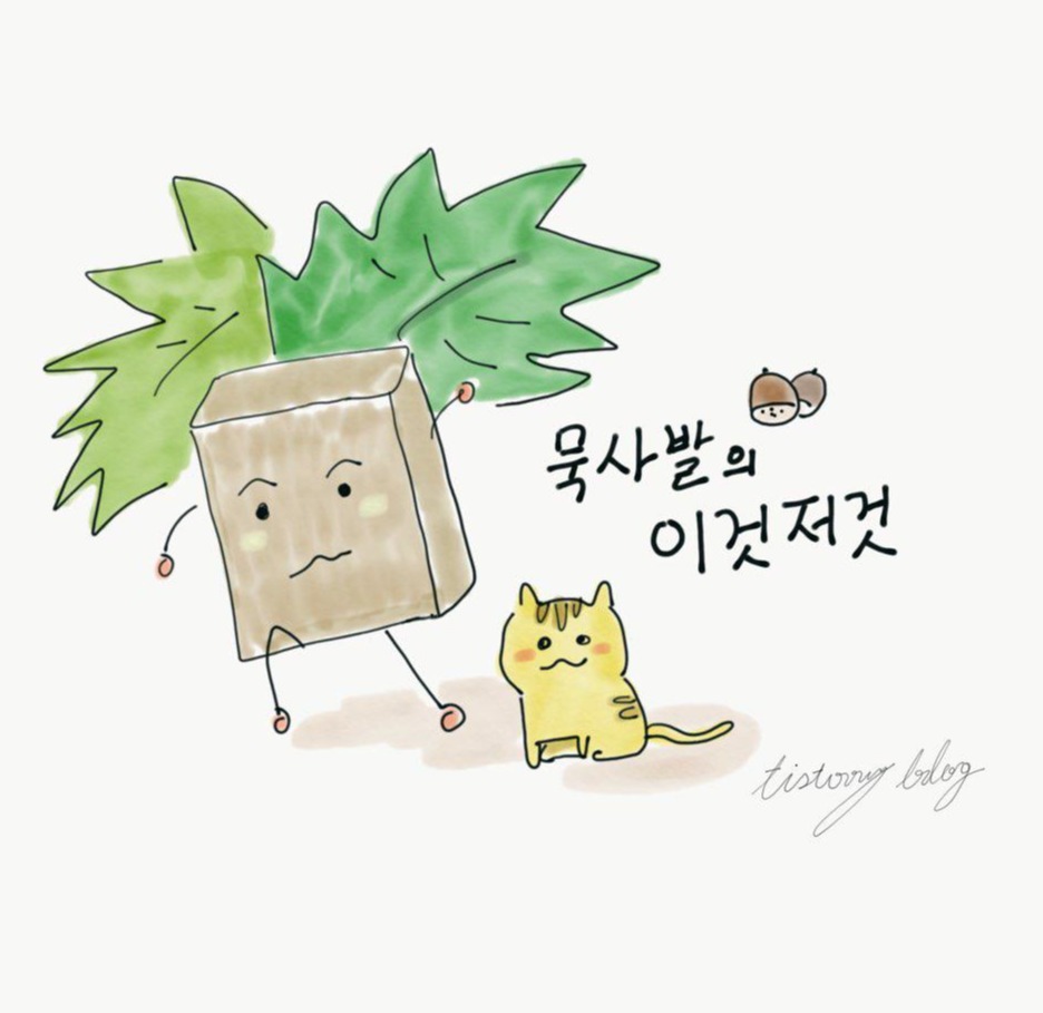프로필사진