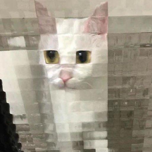 프로필사진