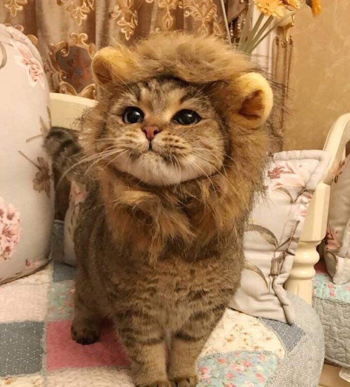프로필사진